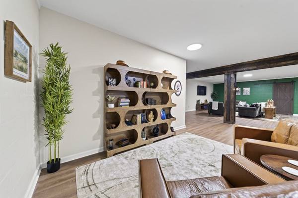 Curved wooden bookcase filled with books next to a tall bamboo plant, leather sofas in the foreground
