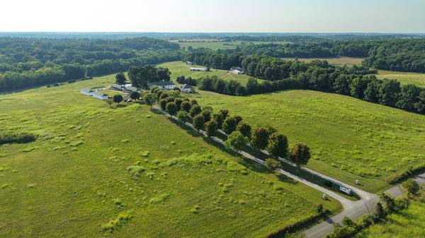 Wide aerial of the tree-lined drive running through open farmland toward the horizon