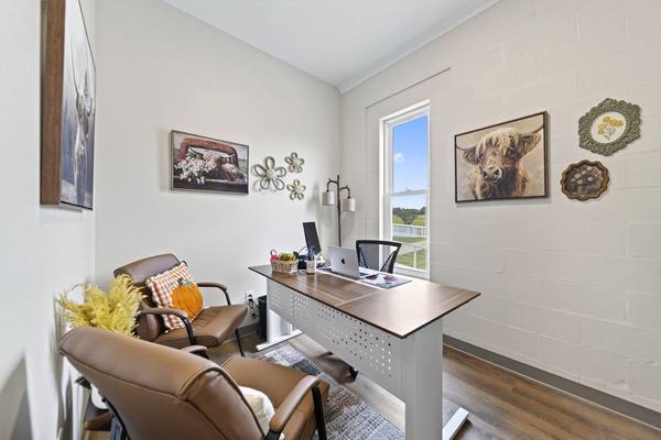 Office with a desk facing a window over green pasture, highland cow paintings and two leather chairs