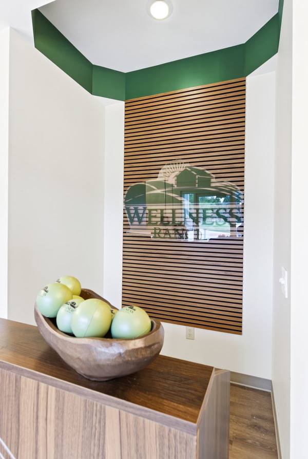 Wellness Ranch logo on a wood slat wall beside a carved bowl of pale green stress balls