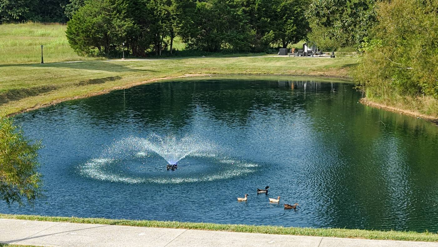 Fountain spraying in the middle of the ranch pond with ducks on the water and trees along the bank